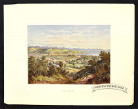 Nelson